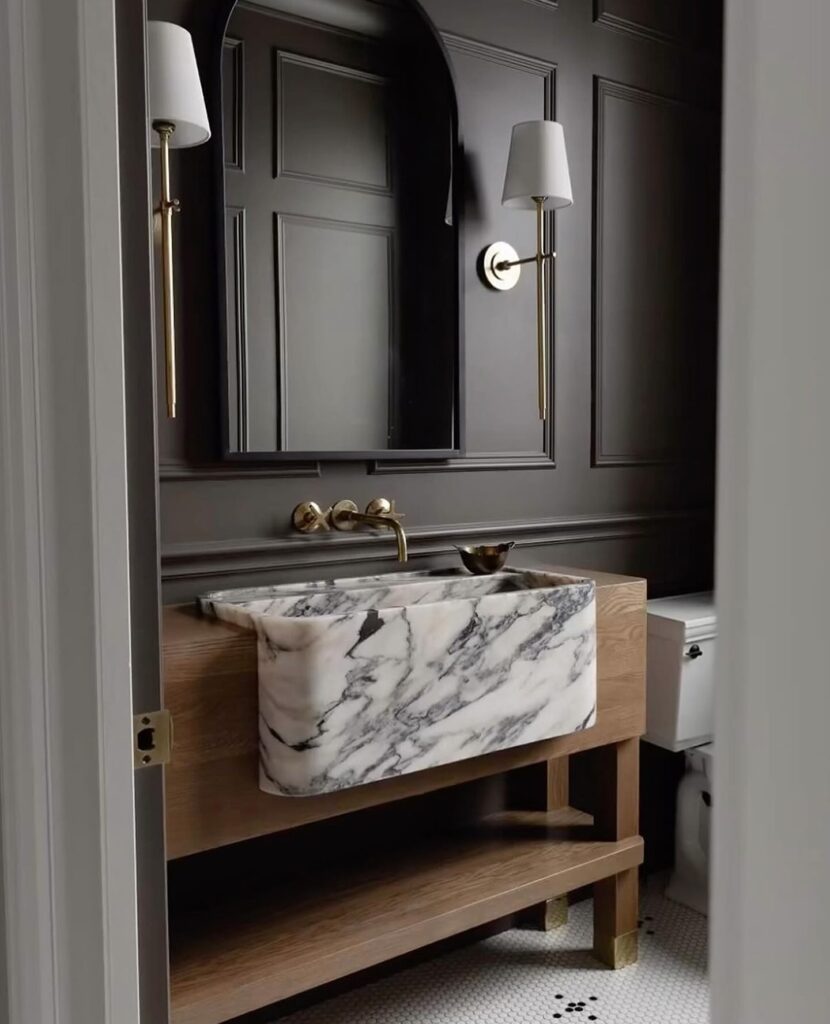 Bold Elegance A Luxurious Dark Powder Room
