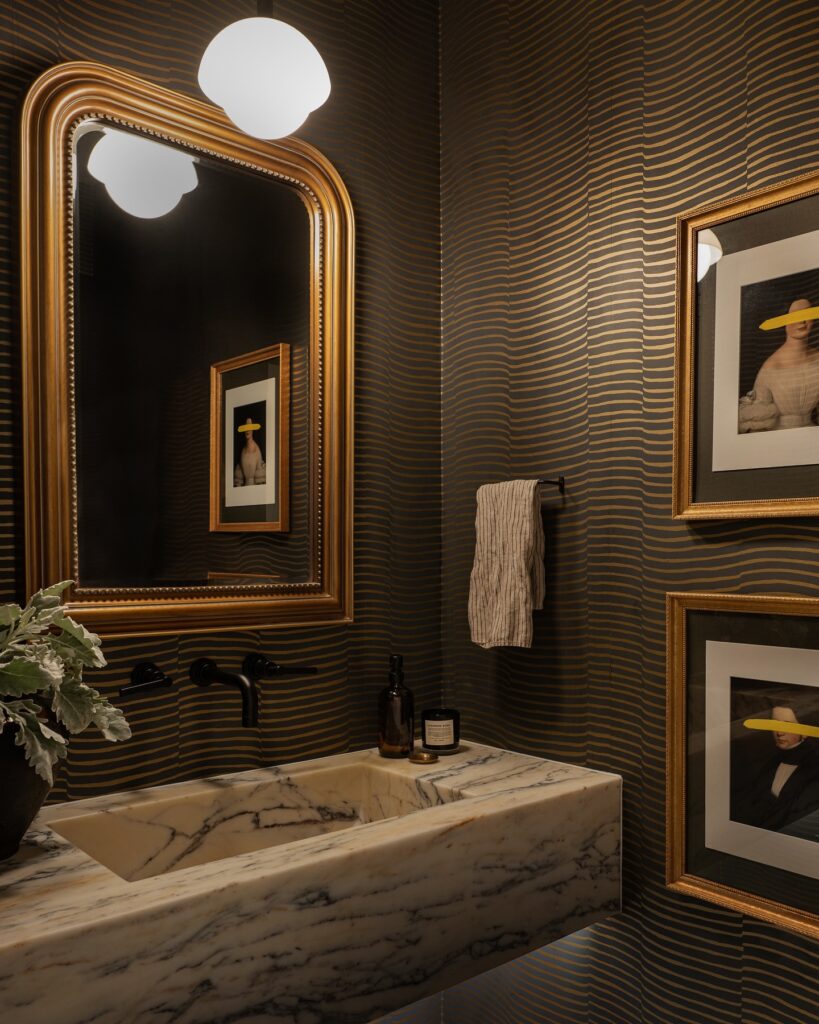 Sophisticated Moody Powder Room

