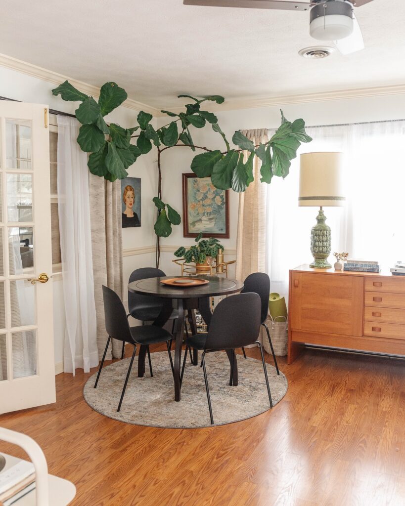 Bright Dining Nook with Oversized Plant

