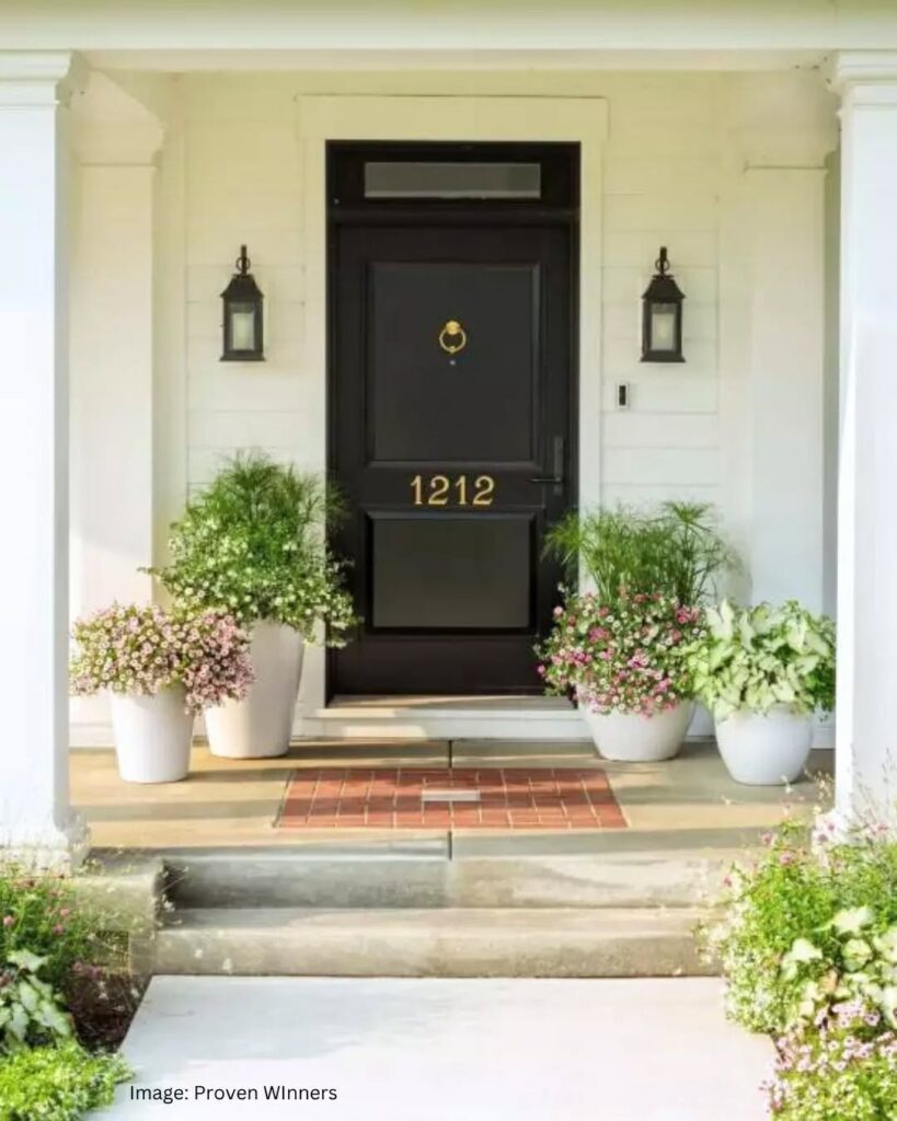 Elegant Black Doorway

