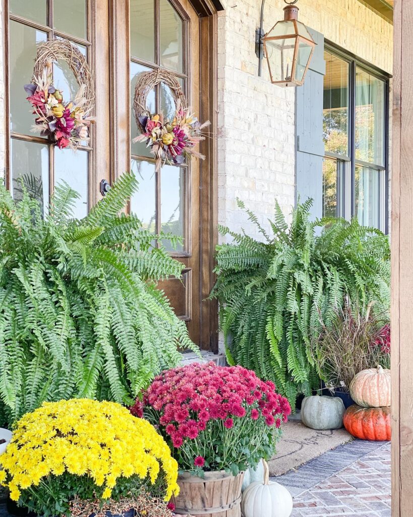 Autumnal Porch with Flourishing Ferns and Mums
