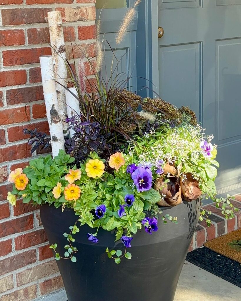 Cheerful Pansy and Grass Porch Pot
