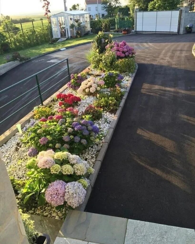 Elegant Hydrangea Flower Bed with Gravel Path
