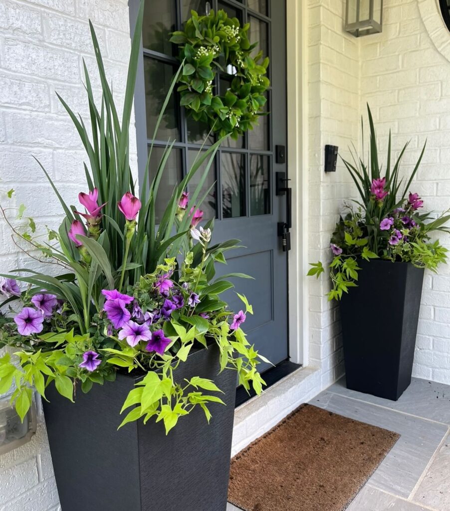 Elegant Purple and Green Porch Display
