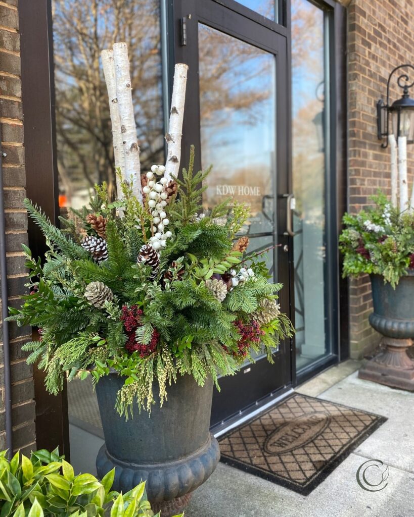 Festive Christmas Container Garden
