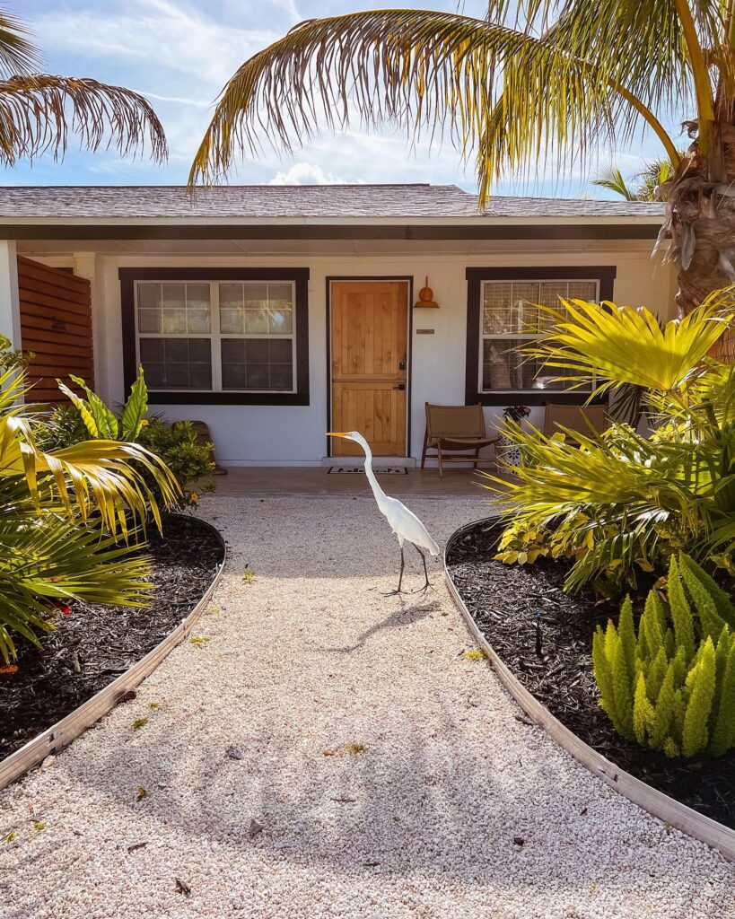 Joie Inn A Tropical Getaway
