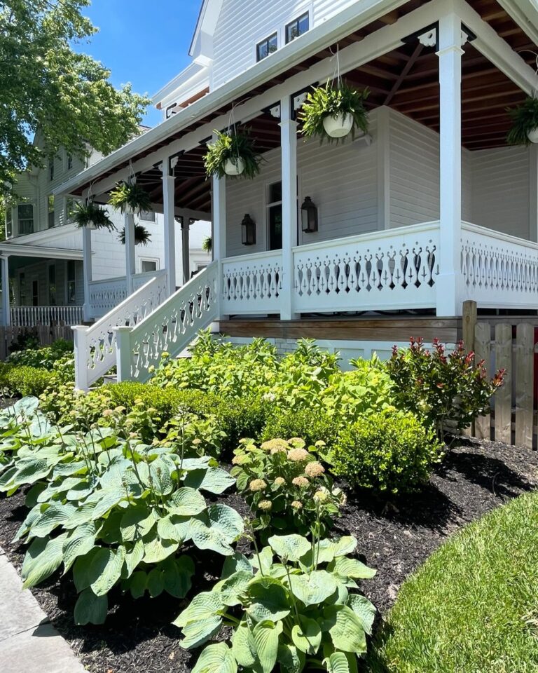 15 Ferns on Front Porch Ideas!