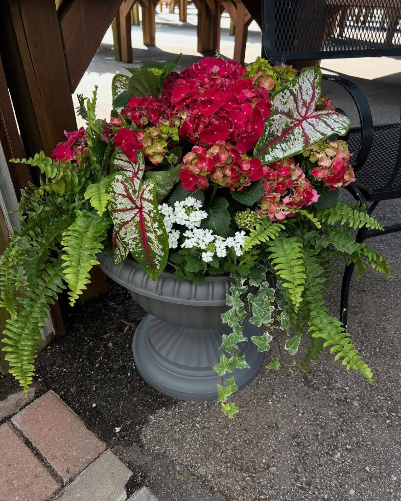 Lush Summer Urn Planter
