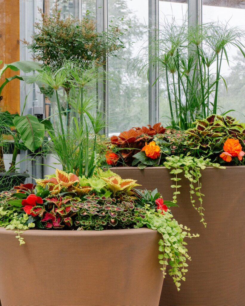 Lush Tropical Planter Display
