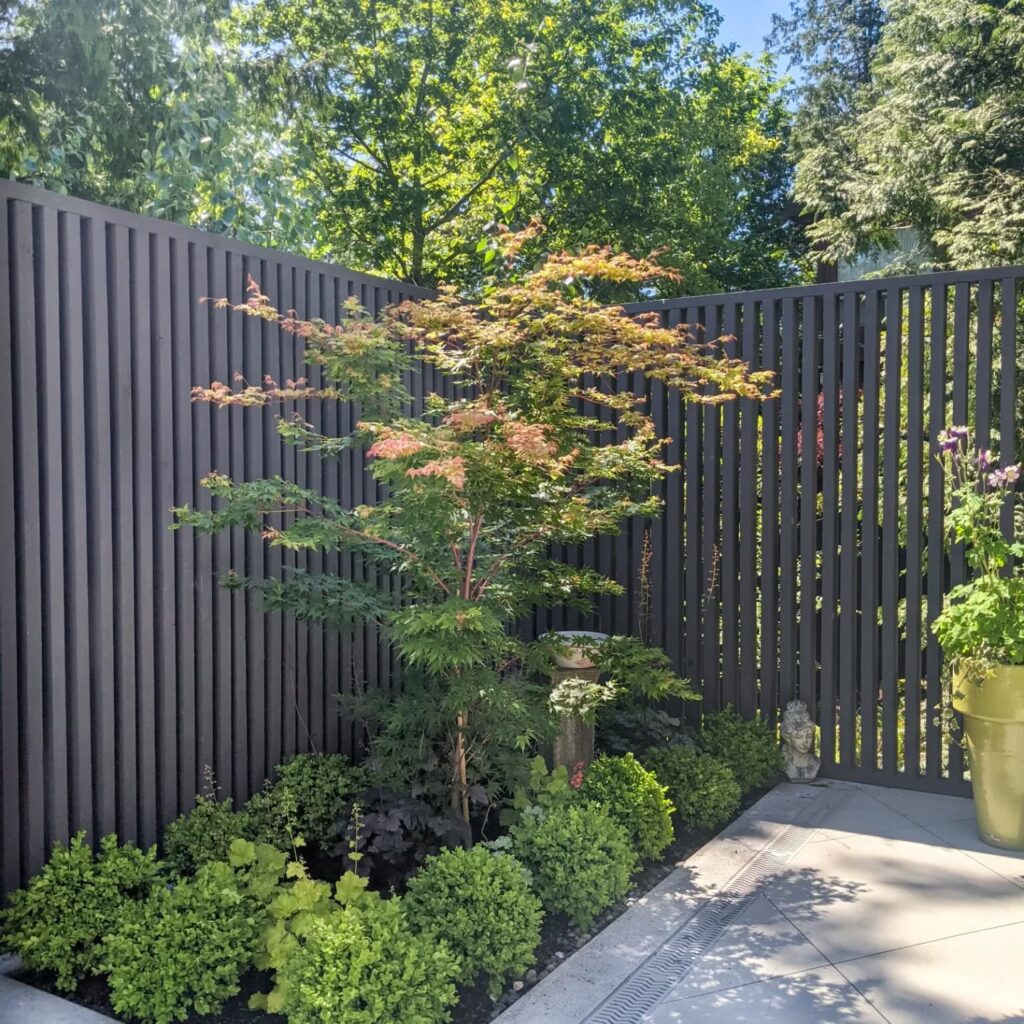 Modern Garden Sanctuary: Black Metal and Verdant Foliage