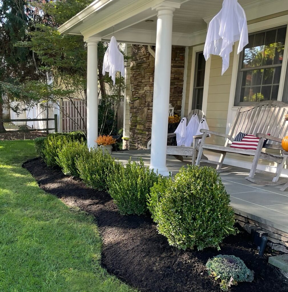 Neat Buxus Flower Bed with Mulch
