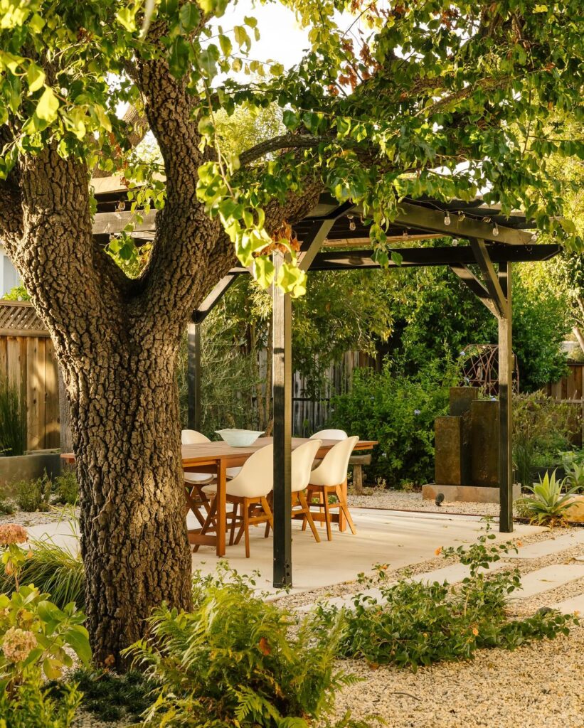 Shaded Outdoor Dining Under Mature Trees
