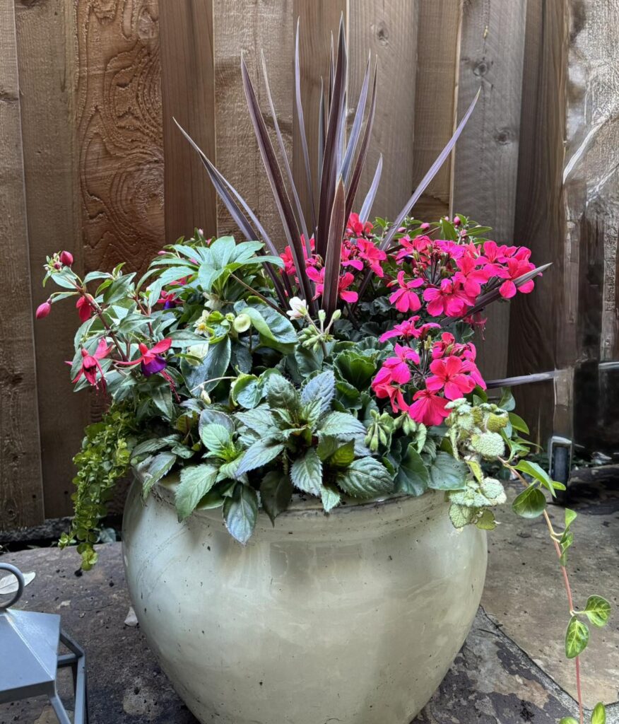 Summer Punch Planter
