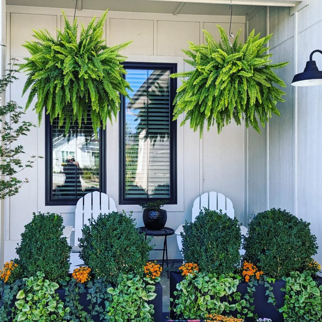 Symmetrical Porch with Flourishing Hanging Ferns

