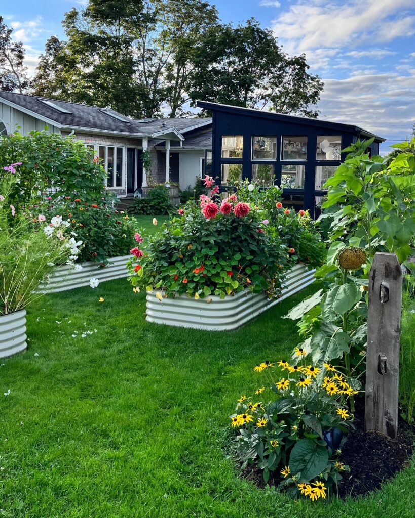 Vibrant Blooms in a Raised Garden Bed
